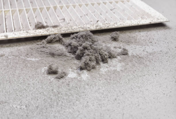 Best Duct Cleaning for Offices  in Mason City, IL