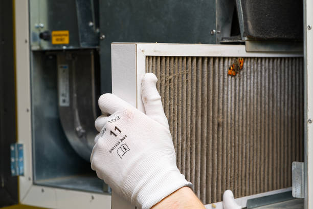Best Air Quality Test  in Mason City, IL