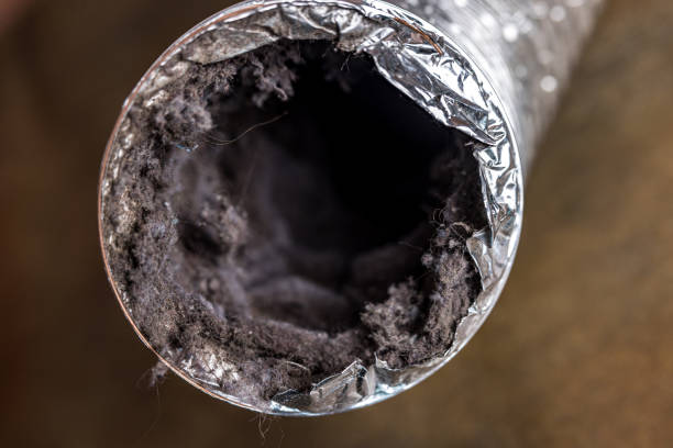 Best HVAC Air Duct Cleaning  in Mason City, IL